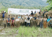 Pengembangan UMKM dan peningkatan Produktivitas Pertanian Sekolah Lapang Daun