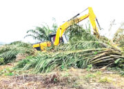 Bentuk Perhatian Serius Pemerintah, Izin 28 Perusahaan Langgar Kawasan Hutan Dicabut