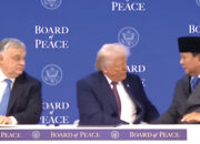 Dinilai Tak Berpihak ke Palestina, MUI Desak Indonesia Keluar dari Keanggotaan Board of Peace