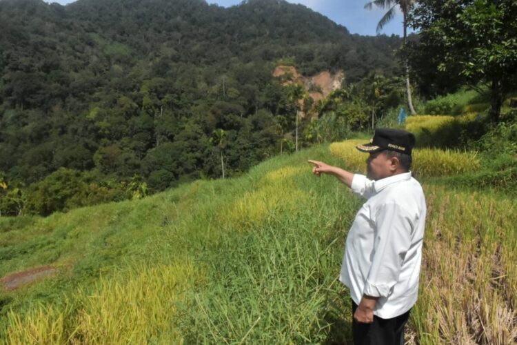 LOKASI SUMBER BANJIR BANDANG— Bupati Agam, Ir H Benni Warlis MM Dt Tan Batuah meninjau langsung lokasi sumber banjir bandang Batang Aia Muaro Pisang yang berada di kawasan Kelok 28, Kecamatan Matur, Rabu (31/12).