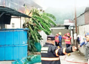 Gudang Ikan Ludes Terbakar, Kerugian Capai Rp 600 Juta