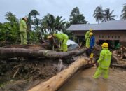 Gubernur Sumbar Apresiasi Kerja PLN Pulihkan Listrik Pascabencana