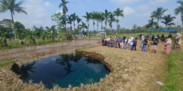 JERNIH—Kondisi air yang tampak jernih dan bersih pada lubang yang runtuh beberapa waktu lalu di Situjuah, Lima Puluh Kota beberapa waktu lalu.
