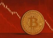 Adopsi Kripto di Indonesia Meningkat, Investor Cenderung Pilih Aset Berisiko Rendah