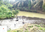 DLH Jatuhkan Sanksi Administratif dan Denda Rp737 Juta kepada PT TKA