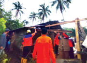 Rumah Warga Terbelah Dua Ditimpa Pohon Kelapa