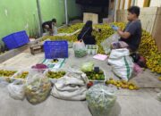 Program MBG Membawa Berkah Bagi Pedagang Jeruk