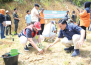 Pulihkan Ekologi Pascabencana, PT Semen Padang Serahkan 10 Ribu Bibit Kaliandra Dukung Gerakan Sejuta Pohon