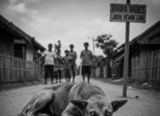 Waspada, Terjadi Kasus Kematian Akibat Rabies di Solok Selatan 