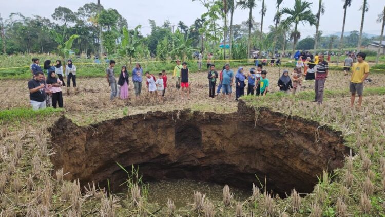 Di Awali Dentuman, ”Sawah Luluih”Kejutkan Warga Situjuah 1 TANAH BERLUBANG— Warga Jorong Tepi, Nagari Situjuah Batua, Kabupaten Limapuluh Kota, mengerumuni lokasi tanah berlubang (Sinkhole), Minggu (4/1). Fenomena alam yang oleh penduduk lokal disebut sebagai “sawah luluih” ini terjadi di sawah yang digarap Adrolmios alias Si Ad, (61), warga Nagari Situjuah.