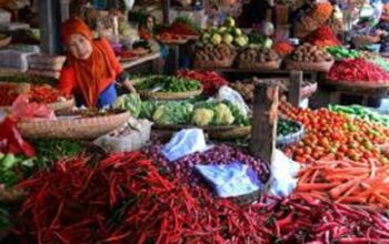 pedagangh cabai di payakuimbuh