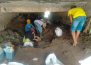 Lurah Pimpin Goro Bersihkan Saluran Irigasi Gunung Nago Libatkan Keltan, 73 Hektare Sawah di Kelurahan Pisang Terancam Kekeringan