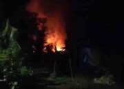 Rumah Milik Dewi Ludes Dilalap si Jago Merah, Kerugian Capai Rp 100 Juta