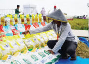 Jelang Ramadan dan Idul Fitri, Pemerintah Pastikan Ketersediaan Bahan Pangan Pokok Aman dan Tercukupi