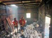 Gudang Kasur Terbakar di Kuranji, Kerugian Capai Rp 90 Juta