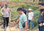 Replanting di Areal Konsesi PT Bina Renggut 2 Nyawa, Mekanik dan Pencari Brondolan Sawit Tewas, Humas Perusahaan: Bukan Tanggung Jawab Kami