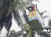 Siap Hadirkan Listrik Andal di Bulan Suci, PLN Gencarkan Pembersihan Jaringan