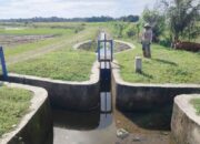 Bertahun-tahun Menanti, Akhirnya Irigasi Anai II dapat Dialiri Air