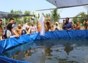 Wako Yota Balad Tebar Benih Ikan Lele Milik BUMDes