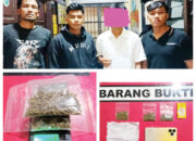 Pengedar Ganja Ditangkap saat Tunggu Pembeli, Barang Bukti sempat Dibuang