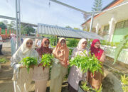 Minat ASN Kota Solok dan Masyarakat Terhadap Sayuran HidroponikCukup Tinggi