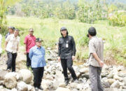 Sekjen Kementan Tinjau 69 Hektare Lahan Rusak di Koto Kaciak