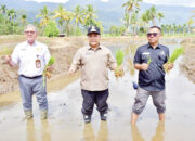 Bupati Tinjau Rehabilitasi 69 Hektar Lahan Terdampak Bencana, Dorong Percepatan Pemulihan